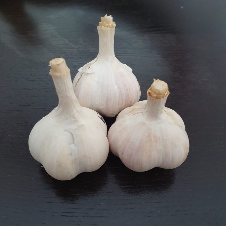 Knoblauchsorte Kaiser