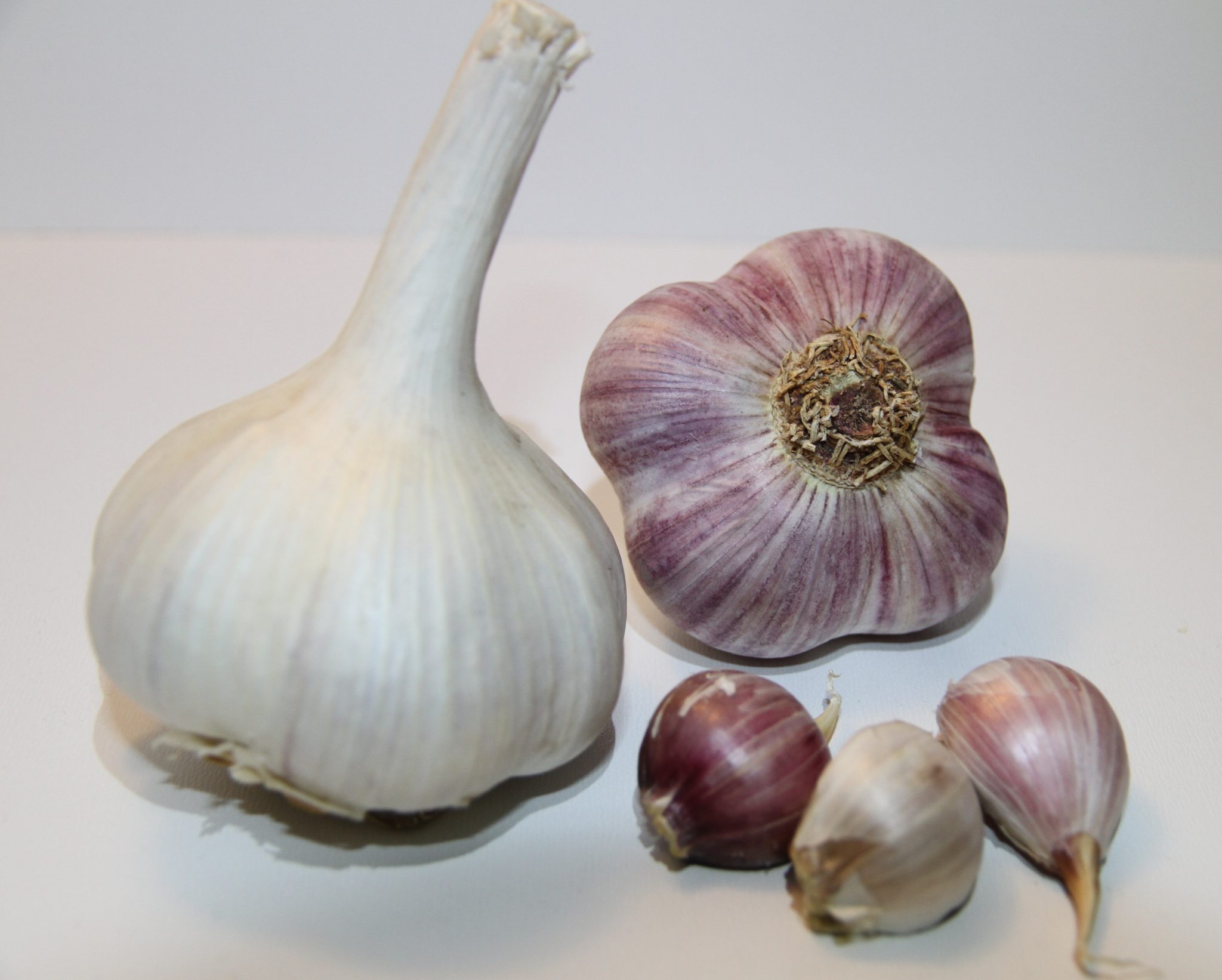 ljubascha knoblauch 2048x1642